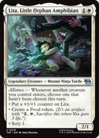 Lita top up troubleshooting visual showing order status and support details needed for missing coin investigations