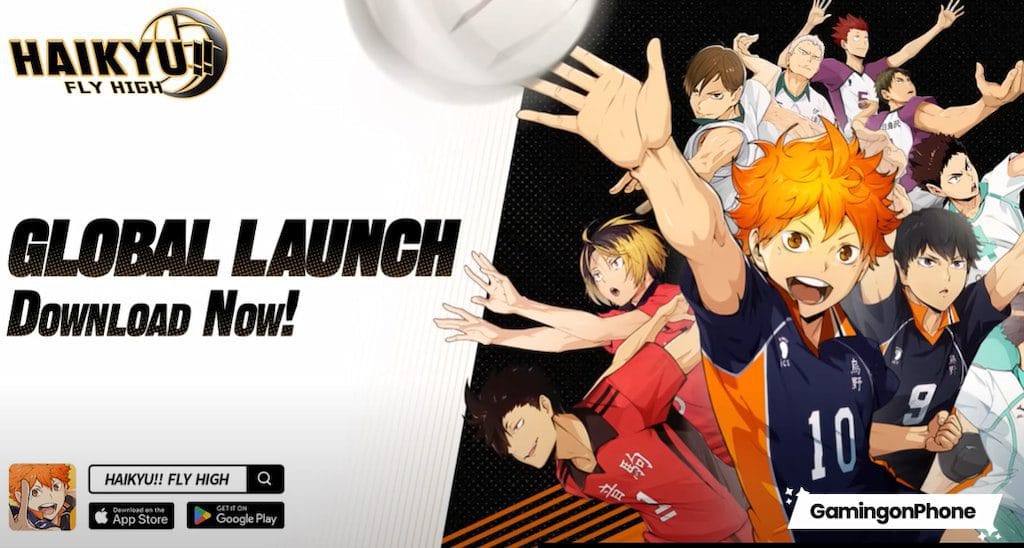 Haikyu!! Fly High official support page for payment, account binding, and troubleshooting issues