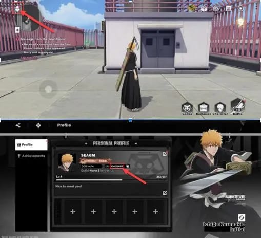 Guide image showing where to check Player UID and SEA account details before Bleach: Soul Resonance SEA Top Up