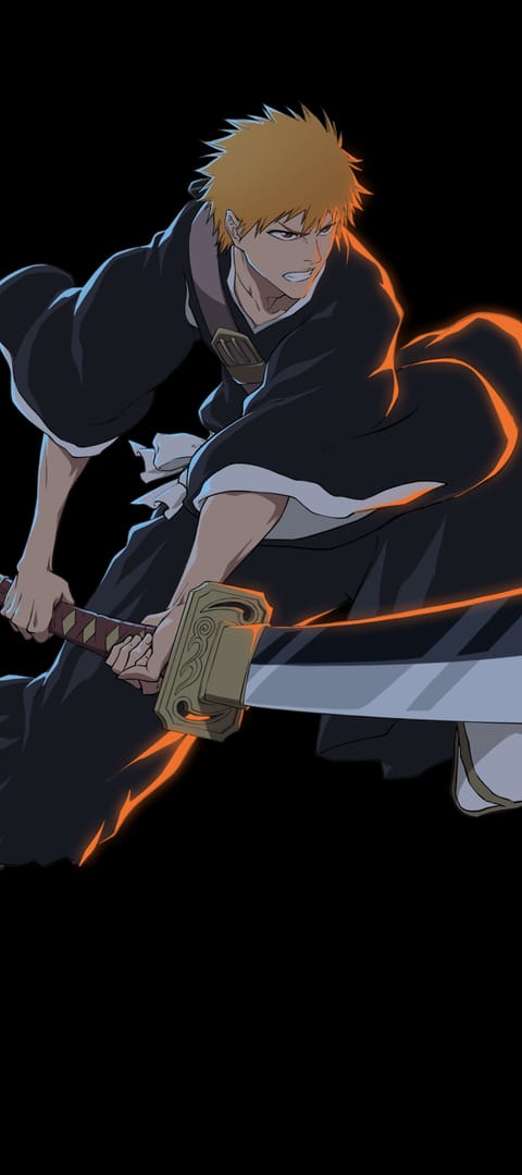 Bleach: Soul Resonance support evidence guide with receipt, order history, and account details