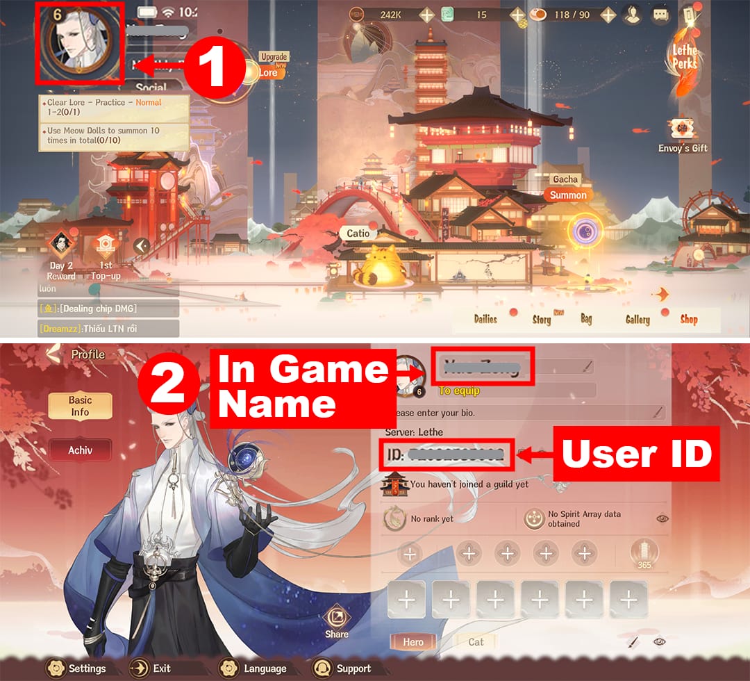 Сравнение экрана Dream and Lethe Record: правильная проверка UID и сервера против ошибки с никнеймом вместо ID аккаунта