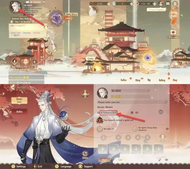 Пошаговая проверка UID, сервера и региона в профиле Dream and Lethe Record перед пополнением